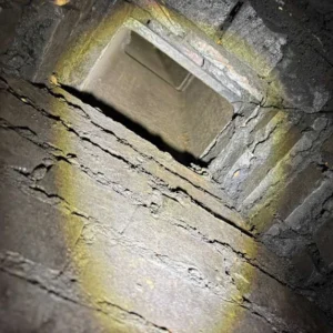 Chimney-sweep-by-american-clean-air.webp